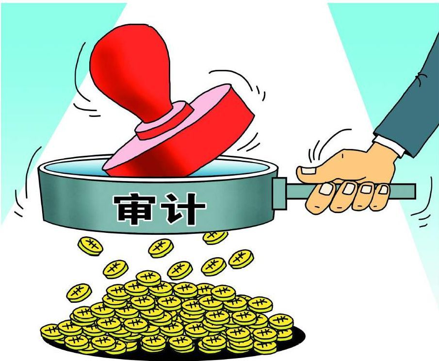 審計(jì),的,本質(zhì),是什么,審計(jì),的,本質(zhì),是什么,。,